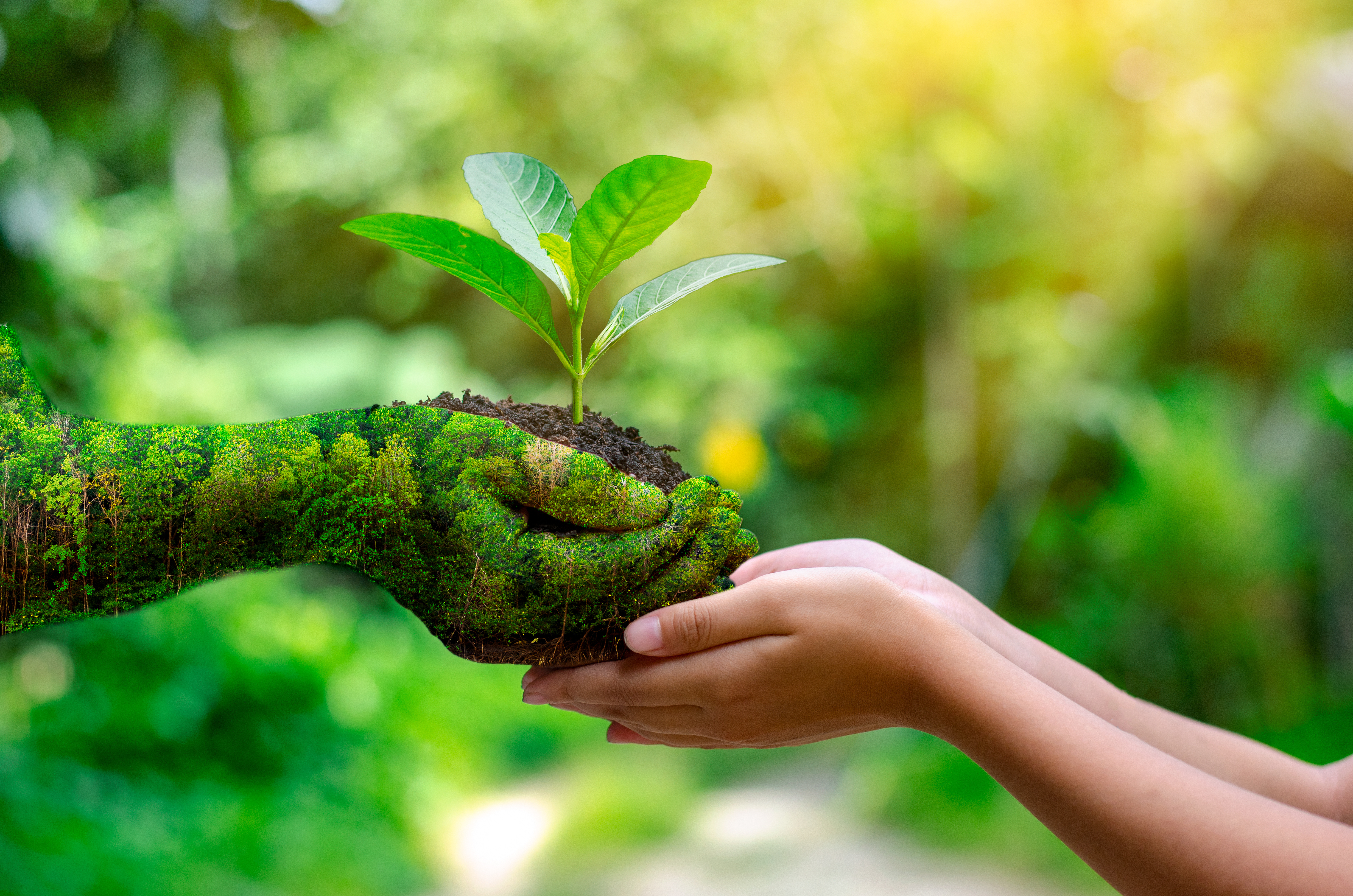 Cuidando de você e do meio ambiente